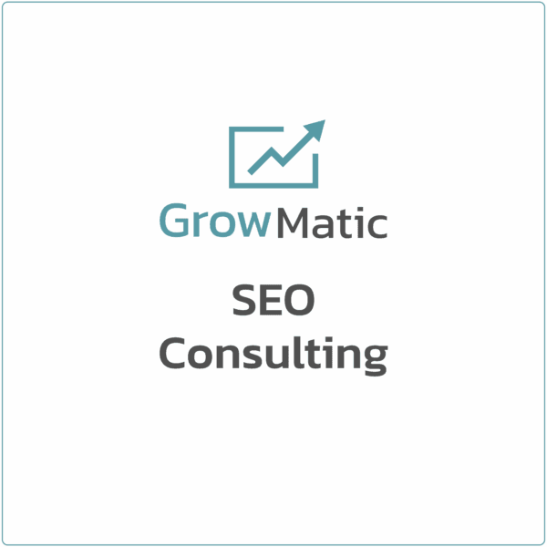 SEO Consulting (1 Hour)